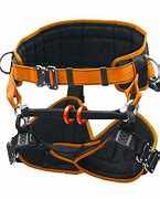 Image result for Tree Climbing Harness