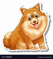 Image result for Pomeranian Cartoon Party