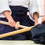 Image result for Aikido Portraits