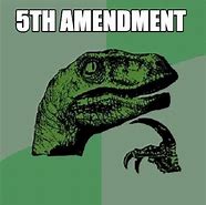 Image result for 5th Amendment Memes