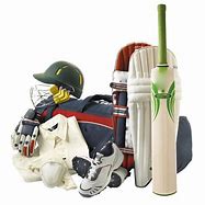 Image result for Cricket Tools Set for Kids