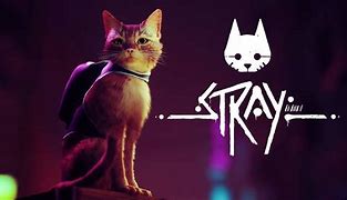 Image result for Cast of the Record Stray X