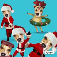 Image result for Christmas Farm Dogs