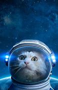 Image result for Real Me Space Cat Wallpaper