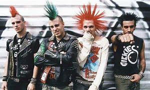 Image result for Punk Rock Subculture
