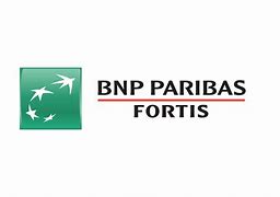 Image result for BNP Paribas Romania