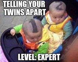Image result for Funny Twin Memes