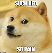 Image result for dog pain memes