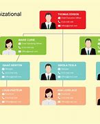 Image result for Organizational Structure Types Chart