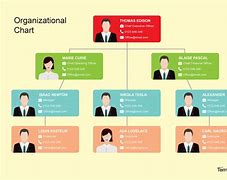 Image result for Typical Corporate Organizational Chart