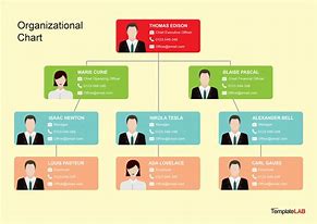 Image result for Organization Chart Examples