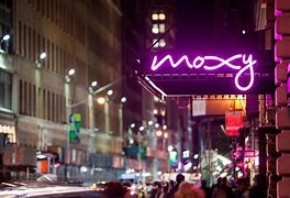 Image result for Delmonico Hotel New York