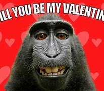 Image result for FL Valentine's Memes