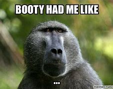 Image result for Baboon Fasting Meme