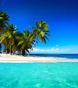 Image result for Tropical Paradise Desktop