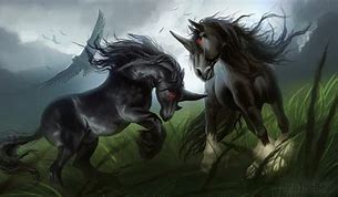 Image result for Unicorns Fighting