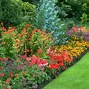 Image result for Local Landscapers Near Me