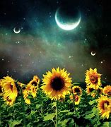 Image result for Sunflower Sky Wallpaper Background