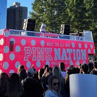 Image result for Victoria Secret Pink Nation Cases