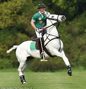 Image result for prince harry stud horse