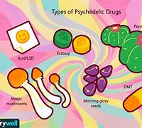 Image result for What Are Psychedelics