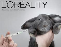 Image result for Animal Testing Photography