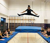 Image result for Types of Acrobats