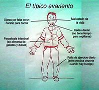 Image result for avarrotero