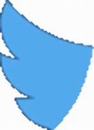 Image result for Animated Twitter Logo Transparent