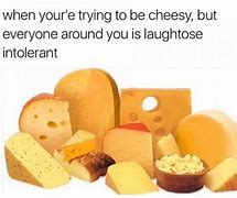 Image result for cheese memes