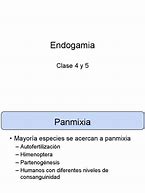 Image result for endogamia