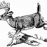 Image result for Deer Vector Clip Art
