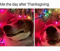 Image result for Thanksgiving Holiday Meme