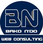Image result for bako consulting barbara kocik