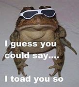 Image result for Toad Frog Meme