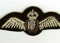 Image result for RCAF Wings