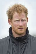 Image result for Prince Harry's Beard