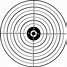 Image result for Practice Shooting Targets