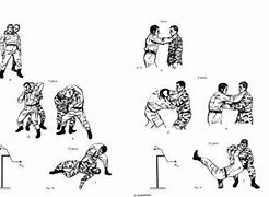 Image result for Systema Fighting Style
