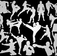 Image result for Mixed Martial Arts Boys