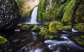 Image result for Moss On Waterfall HD