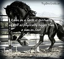 Image result for Great Horse Quotes