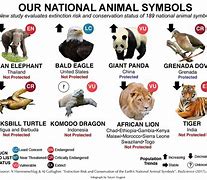 Image result for Animal Symbols of Countries