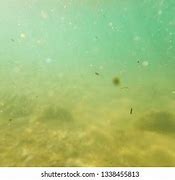 Image result for Aesthetic Dirty Underwater Wallpaper