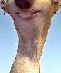 Image result for Sid the Sloth Funny Picture