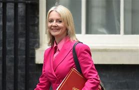 Image result for Liz Truss Background