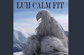 Image result for Calm Luh Fit Y2K