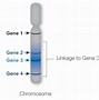 Image result for Genetic Linkage