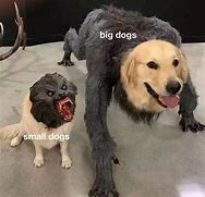 Image result for Why Smol Dog Meme