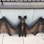 Image result for Paper Mache Bat